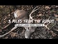 13 POINT INDIANA Public Land BUCK 3 Miles FROM THE ROAD!!!