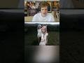 NMIXX - Crescendo MV Trailer Reaction #nmixx #shorts #reaction #trending #shortsfeed