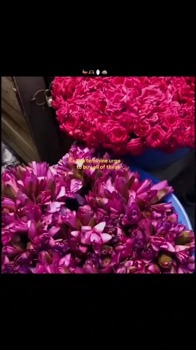 ~Desi things'!🎀🦢🫧 #bollywood #hindisong #slowedandreverb #desi #aankheinteri #maulameremaula