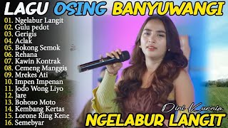 Download Lagu DINI KURNIA - GULU PEDOT - NGELABUR LANGIT - ACLAK - FULL ALBUM LAGU OSING BANYUWANGI TERLARIS VIRAL MP3