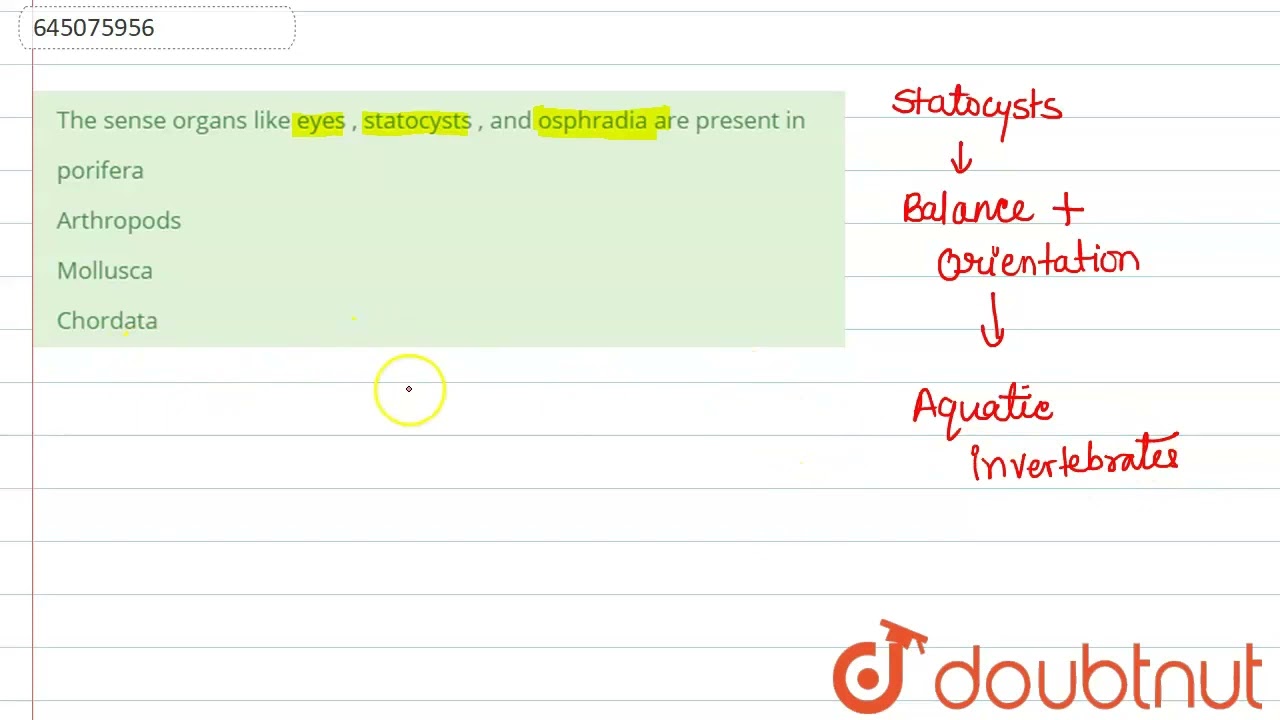 The sense organs like eyes , statocysts , and osphradia are present in  | 12 | NTA NEET SET 69 |...