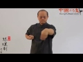 learning wing chun online----siu nim tao step by step practice