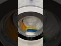 Beko spin