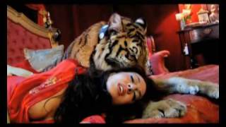 Monica Naranjo Sesion De Fotos Con Un Tigre