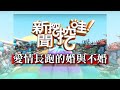 【新聞挖挖哇】:新娘居然不是我?愛情長跑的婚與不婚?20200322(許常德 廖美然 H 黃宥嘉 狄志為)