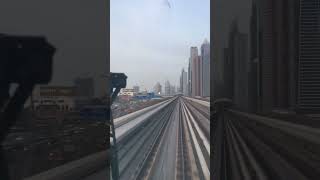 IMG 0962