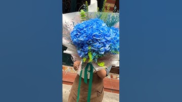 Bó hoa cẩm tú cầu xanh tặng sinh nhật ở Hà Nội ! Hoa tươi Hà Nội -family flower 0982511033 zalo