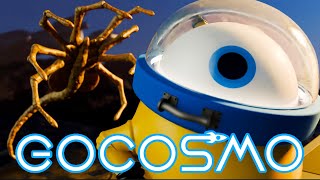 GO Cosmo! LV-426 (Alien)