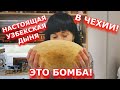 НАСТОЯЩАЯ УЗБЕКСКАЯ ДЫНЯ В ЧЕХИИ! ВОТ ЭТО СЮРПРИЗ! ЭТО БОМБА! СКУЧАЮ ПО УЗБЕКИСТАНУ. ЧЕХИЯ ВЛОГ ЭЛЕН