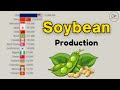 Top Countries Leading Soybean Production 1961–2024