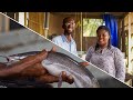 An electrical engineers inspiring journey into catfish farming  upcoming training part 1