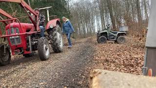 Brennholz im Wald mit dem Massey Ferguson MF35 - firewood with the MF35 by Martin Hoos 330 views 3 months ago 1 minute, 3 seconds