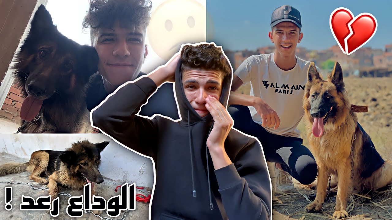 اخر فيديو لرعد | لازم يمشي و السبب !