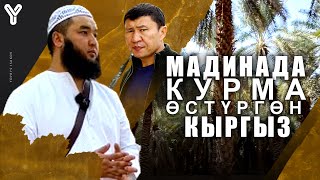 Мадинада курма өстүргөн кыргыз / Умра / Мадина /