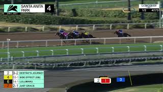 Vidéo de la course PMU CLAIMING