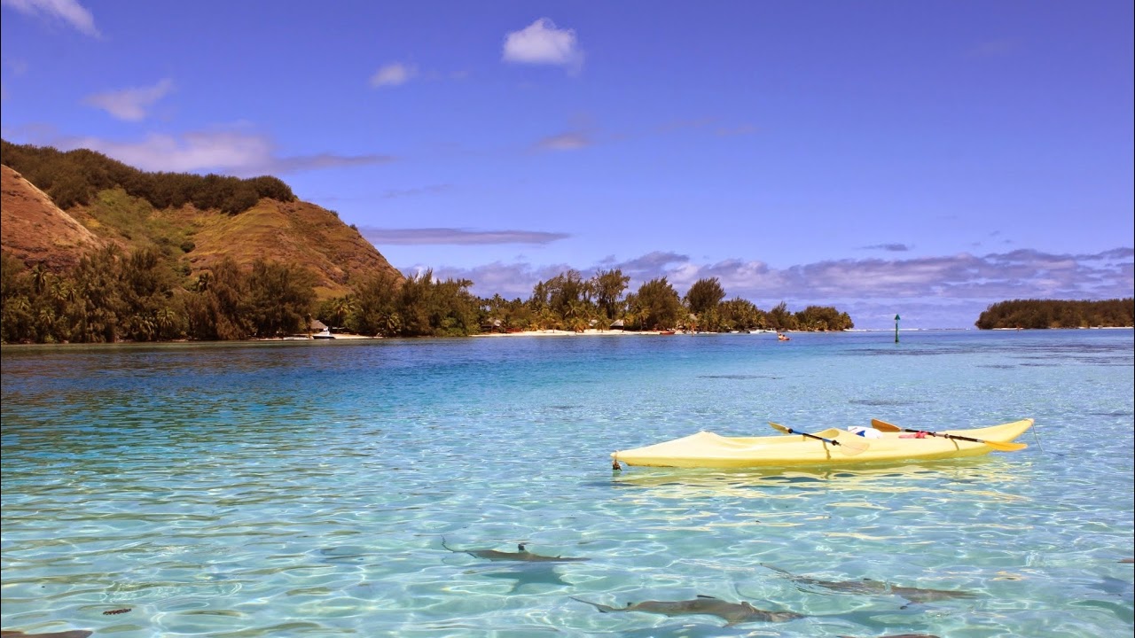 Firestone idle rpg s4/s8