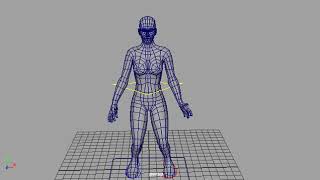PlayBlast Without Rig and Controls