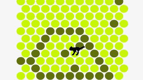 Gato encerrado solución