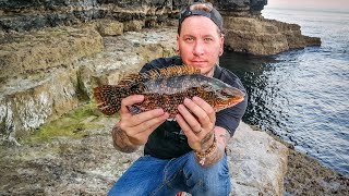 Lure fishing portland bill for wrasse bass and pollack #chesilbeach #weymouthfishing #fishing