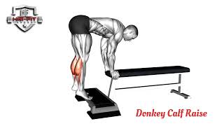 Donkey Calf Raise