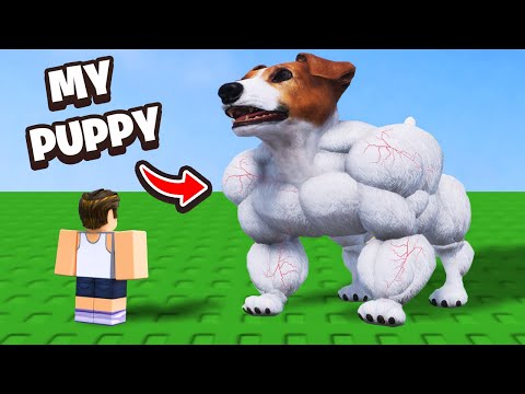 Training My DOG