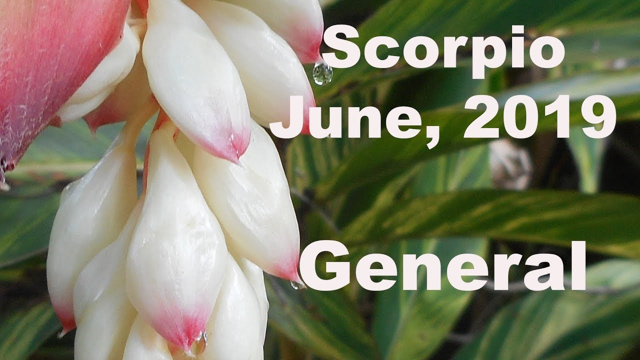 UNCONDITIONAL, SCORPIO! June 2019 General Tarot