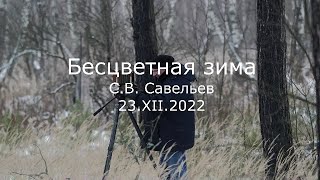 видео: С.В. Савельев - Бесцветная зима картинка: С.В. Савельев - Бесцветная зима