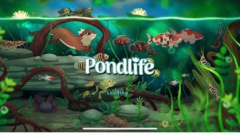 Pond Life: Feeding Time with the Fish  #viralvideo #gaming #gameplay #relaxingmusic