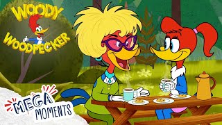Happy Mother's Day! 🌸 | Woody Woodpecker | Compilation | Mega Moments