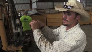 BQA Feedyard short