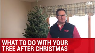 What To Do With Your Tree After Christmas - Ace Hardware