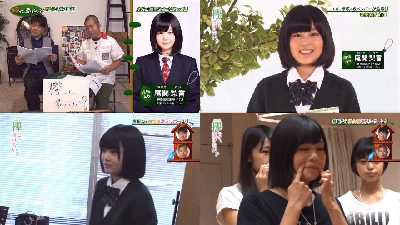 尾関 梨香 - 欅って、書けない?  VOL.1