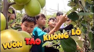 Tony | Đại Náo Vườn TÁO Khổng Lồ screenshot 5