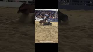 GERA GUERRA MONTANDO EASE JECK DIEGO TA QUERENDO SERA QUE VEM MAIS UM PRIMEIRO LUGAR#vaquejadaaovivo