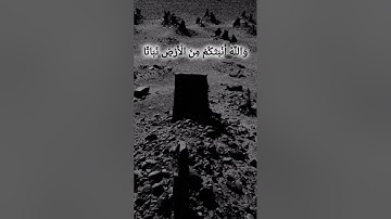 #سورة نوح بصوت شريف مصطفى ♥️#القرآن الكريم #سورة نوح