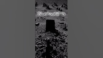 #سورة نوح بصوت شريف مصطفى ♥️#القرآن الكريم #سورة نوح