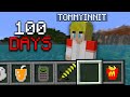 I Made My Own Minecraft Mod Every Day For 100 Days...