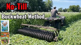 NoTill Brassica Food Plot into Buckwheat Method