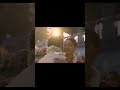 Destiny v/s Future ❤️‍🩹 | Lakshya | Ananya P | Vivek S | Chand Mera Dil | Dharma Shorts
