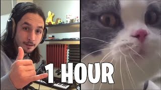 1 HOUR The Kiffness X Big Billy, The Biggest Wet Willy (Live Looping Talking Cat Remix)