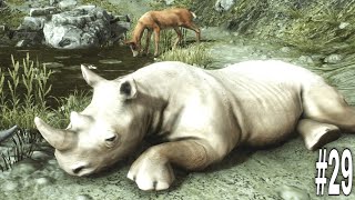 Ultimate Rhino Simulator - Wild Animals | Rhinoceros Simulator | RKM Gaming | Wild Rhinoceros | #29 screenshot 5