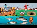 भूमिगत बाँस मछली पकड़ना Underground Bamboo Fishing Comedy Video Hindi Kahaniya हिंदी कहानिया Comedy