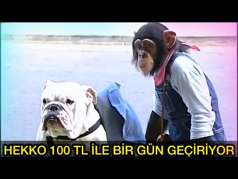 MAYMUN HEKKO 100TL İLE TATİLE GİDİYOR !