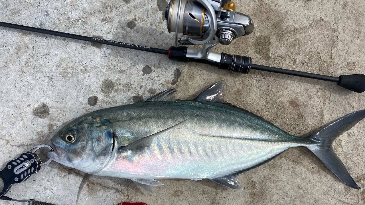 Spring Fishing in Malta- Mediterranean LRF