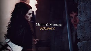 Merlin &amp; Morgana || Prisoner