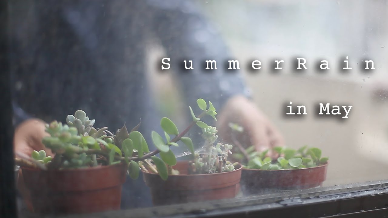 Summer Rain in May - YouTube