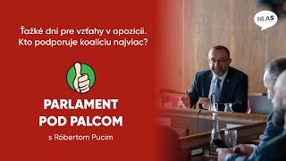 Parlament Pod Palcom O Opozičnom Divadle, Hádkach A Podpore Koalície