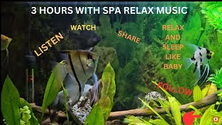 Listen, Watch, Relax and Sleep with Spa music version  Best Cozy