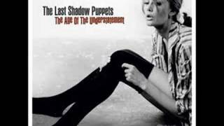 The Last Shadow Puppets - Age of the understatement
