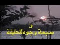 مسلسل سبعة وجوه للحقيقة الحلقة الثالثة